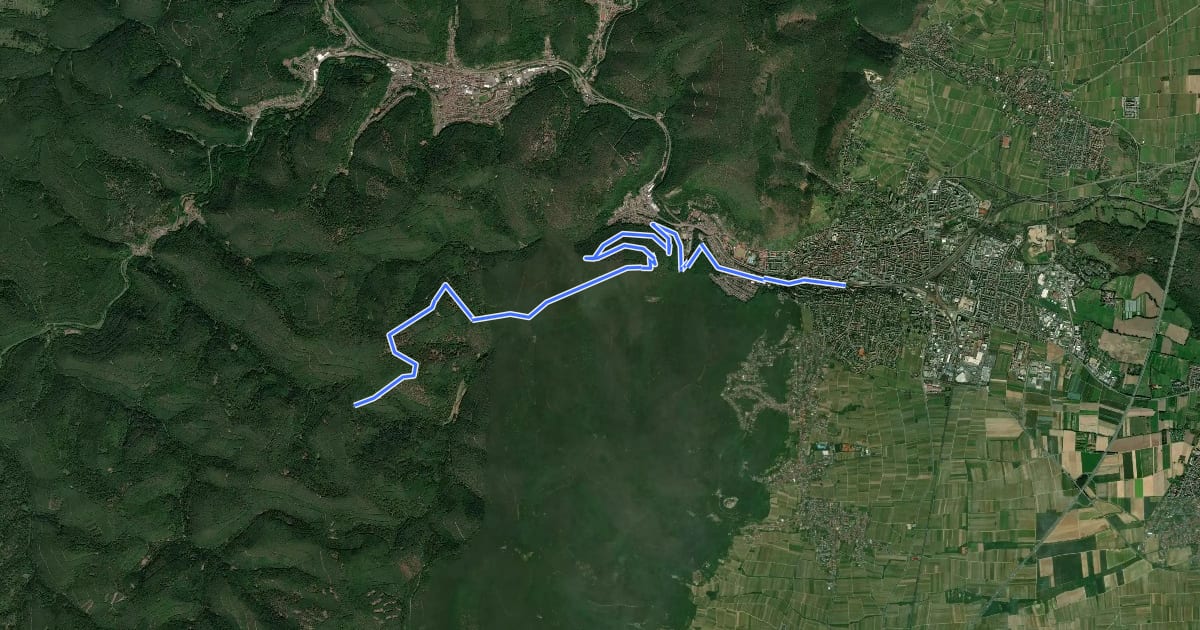 Маршрут Pfälzerwald Gelber Punkt на спутниковом снимке