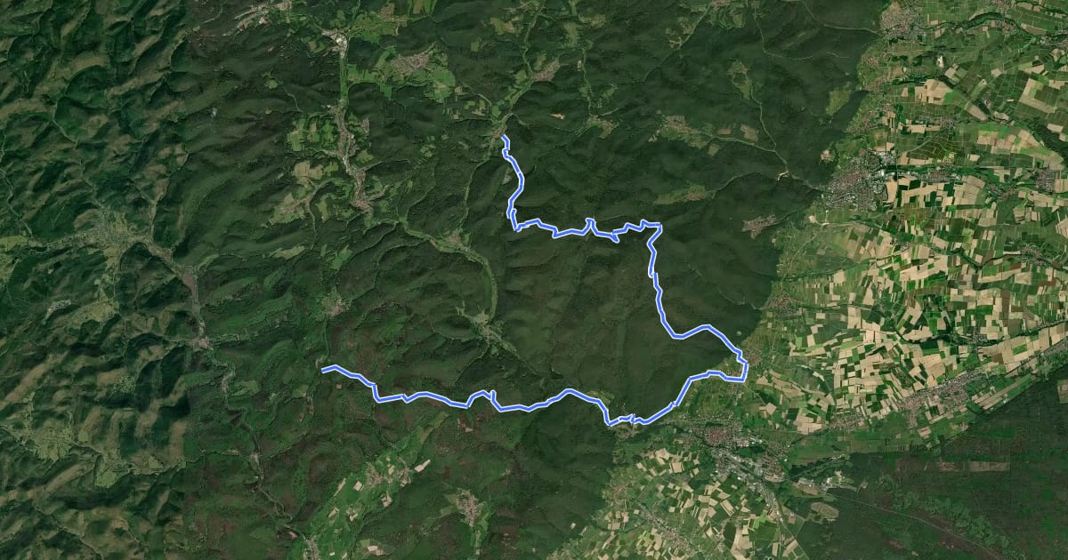 Маршрут Pfälzerwald Gelber Punkt #4 на спутниковом снимке