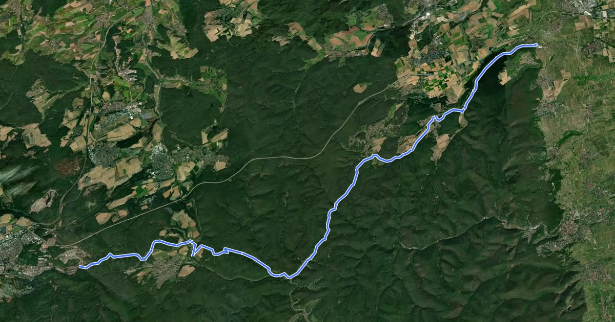 Маршрут Pfälzerwald Grün-Roter Balken на спутниковом снимке