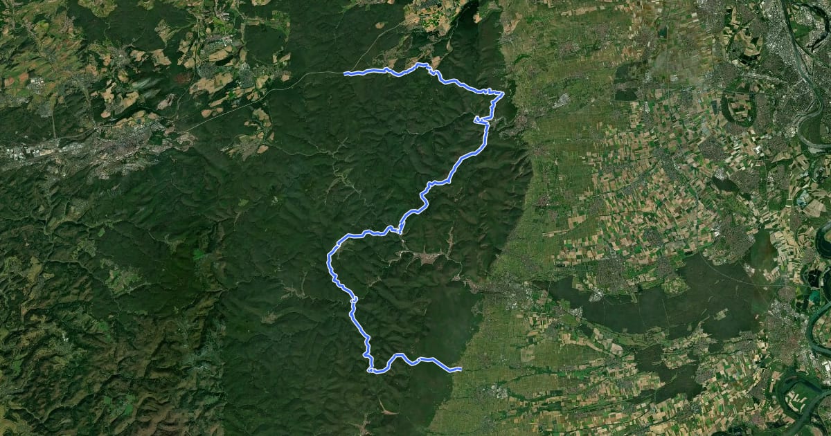Маршрут Pfälzerwald Grün-Weißer Balken на спутниковом снимке