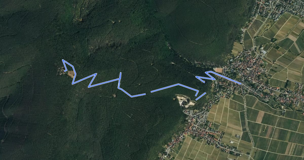 Маршрут Pfälzerwald Grüner Punkt на спутниковом снимке