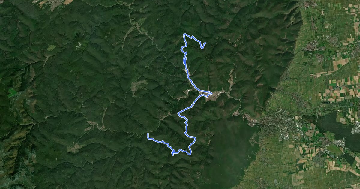 Маршрут Pfälzerwald Roter Balken (Lambertskreuz <=> Beitenstein) на спутниковом снимке
