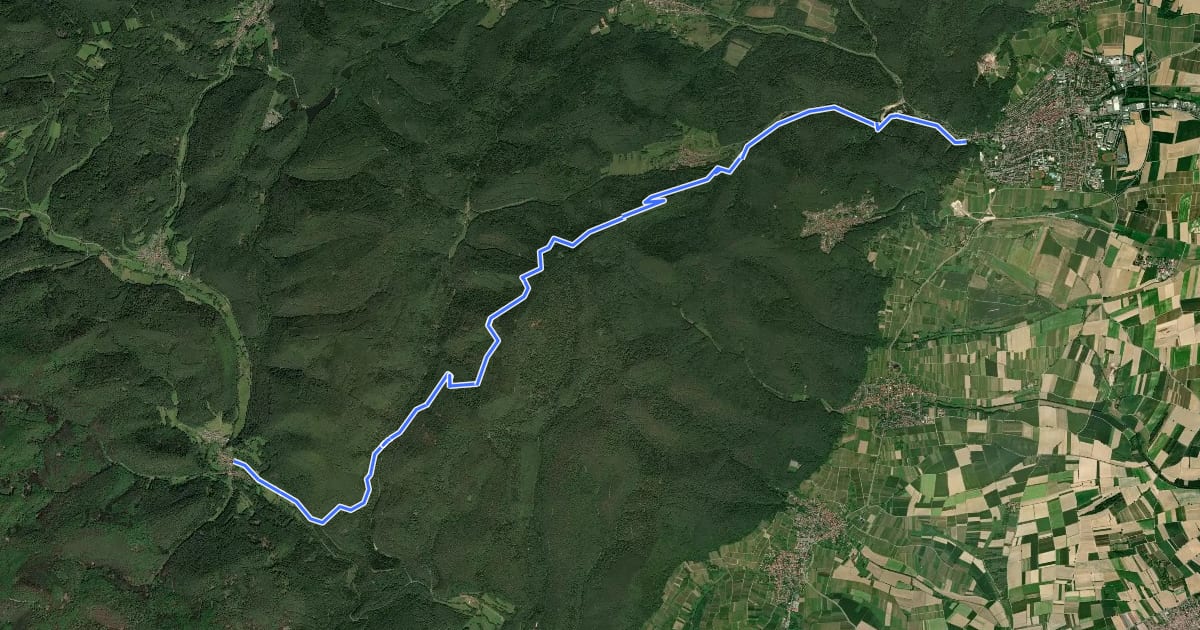 Маршрут Pfälzerwald Rotes Dreieck : Bobenthal <=> Bad Bergzabern на спутниковом снимке