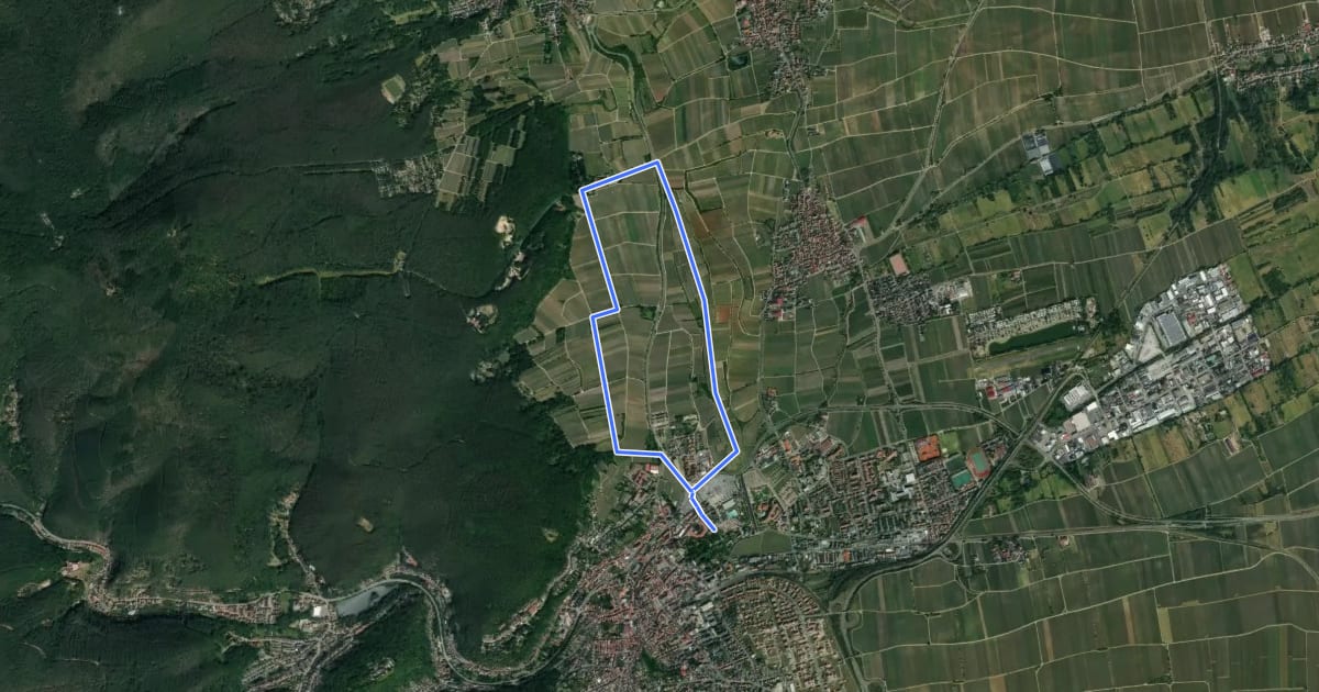 Маршрут Pfälzerwald Spielbergblick на спутниковом снимке