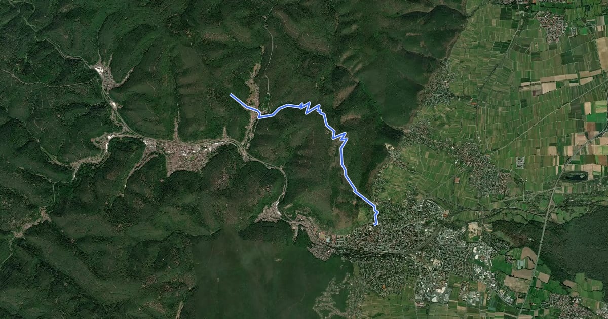 Маршрут Pfälzerwald Wanderweg Blauer Punkt #3 на спутниковом снимке