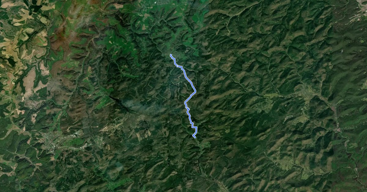 Маршрут Pfälzerwald Wanderweg Roter Punkt #2 на спутниковом снимке