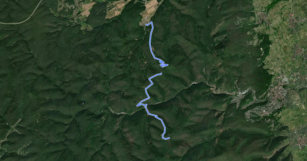 Маршрут Pfälzerwald Weißes Dreieck на спутниковом снимке