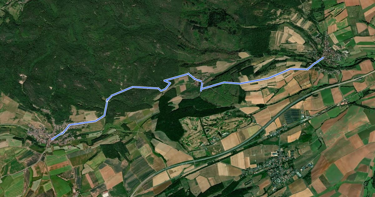 Маршрут Pfälzerwald Weißes Dreieck #3 на спутниковом снимке
