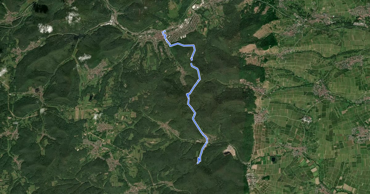 Маршрут Pfälzerwald Weißes Dreieck : Annweiler <=> Waldhambach на спутниковом снимке