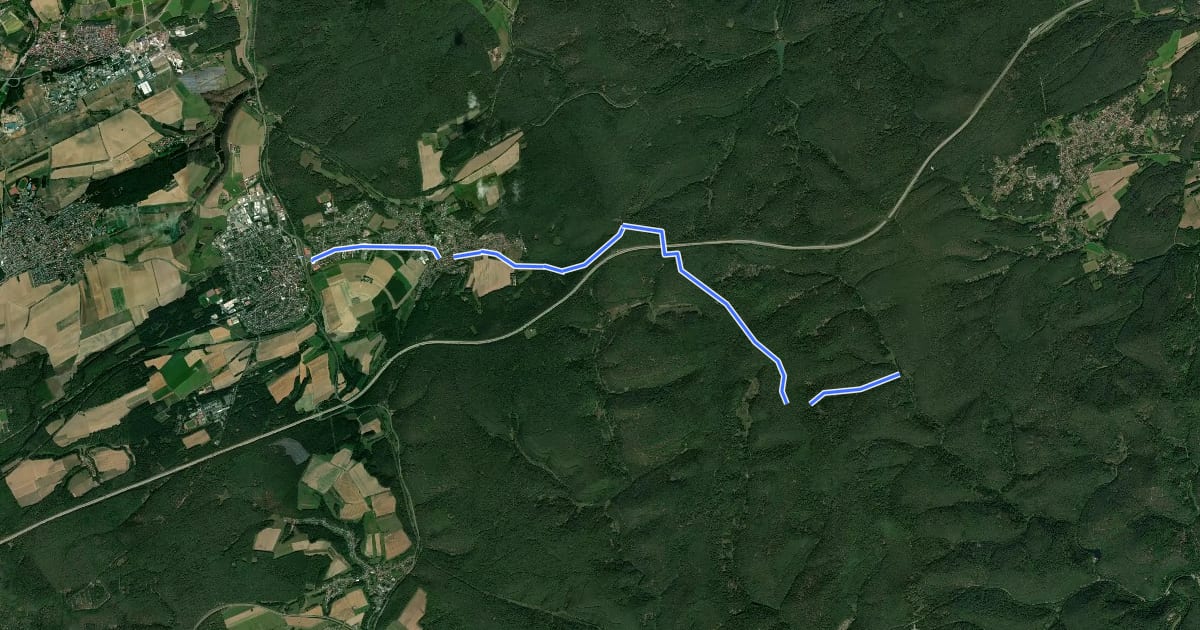 Маршрут Pfälzerwald Weiß-Gelber Balken на спутниковом снимке