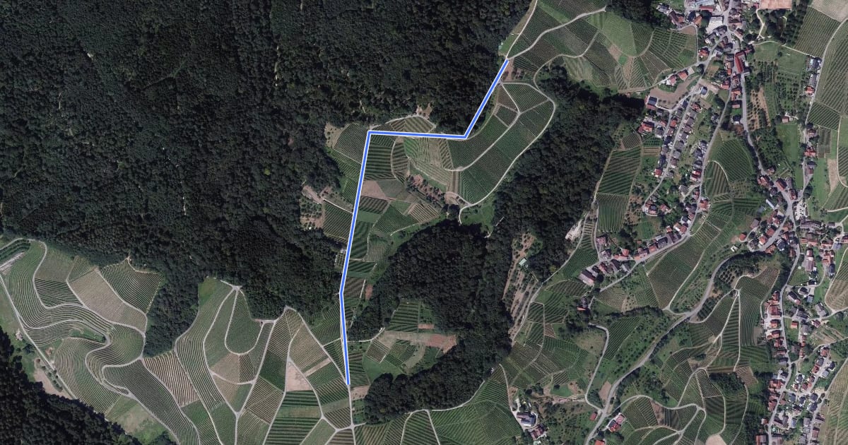 Маршрут Pfaffenberg - Scherd на спутниковом снимке