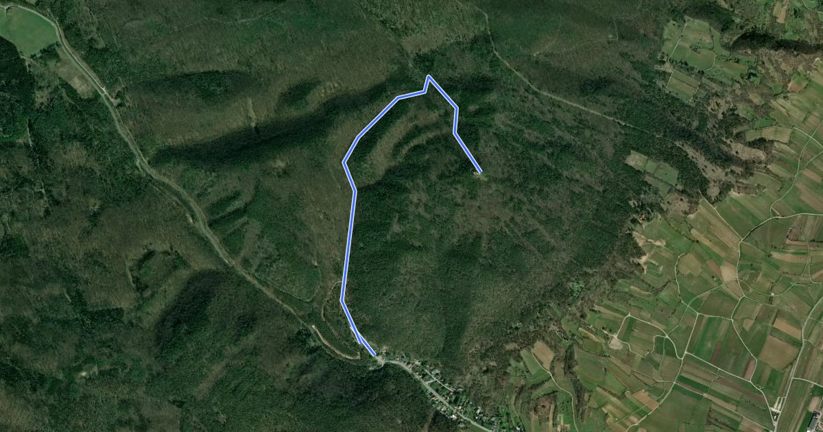Маршрут Pfaffstättner Route на спутниковом снимке