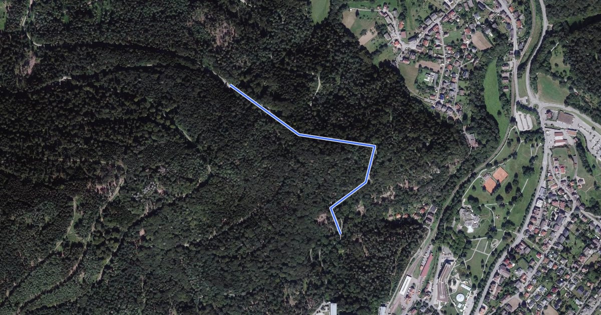 Маршрут Pfahlwald - Rennbergfels на спутниковом снимке