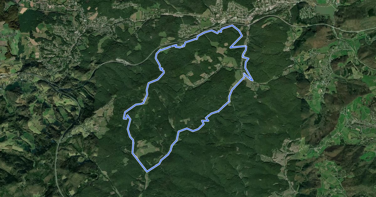 Маршрут Pfalzbergstrecke на спутниковом снимке