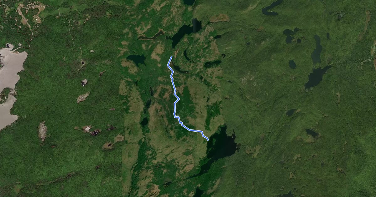 Маршрут Pharaoh Mountain Trail на спутниковом снимке