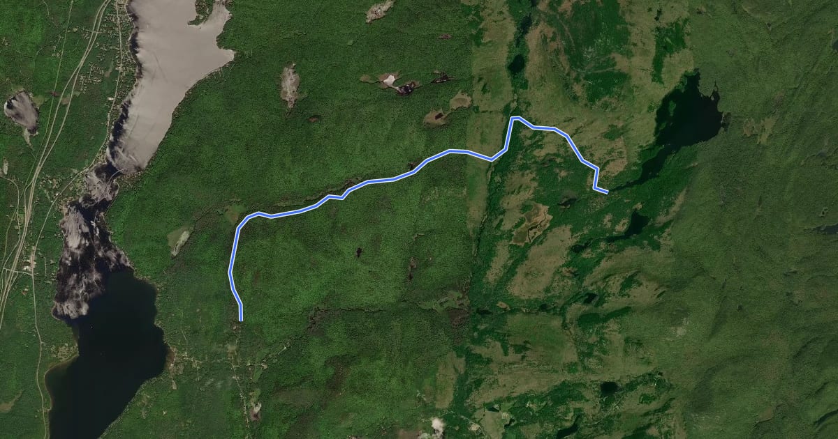 Маршрут Pharoah Lake - Sucker Brook на спутниковом снимке