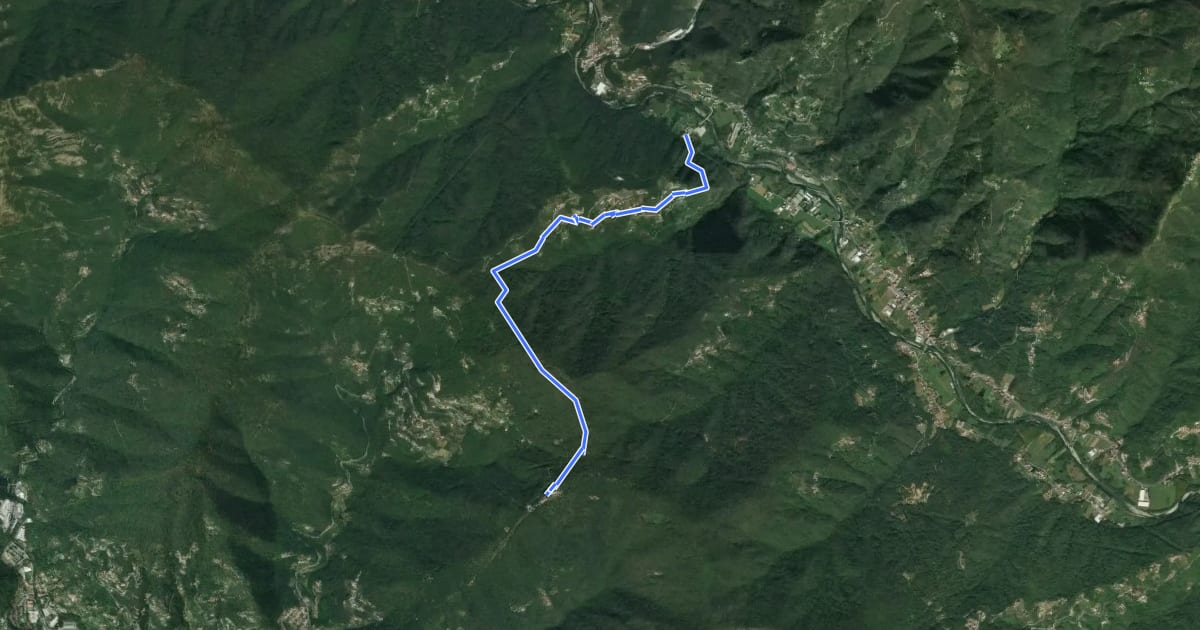 Маршрут Pian dei Ratti - Coreglia Ligure - Santuario di Montallegro на спутниковом снимке