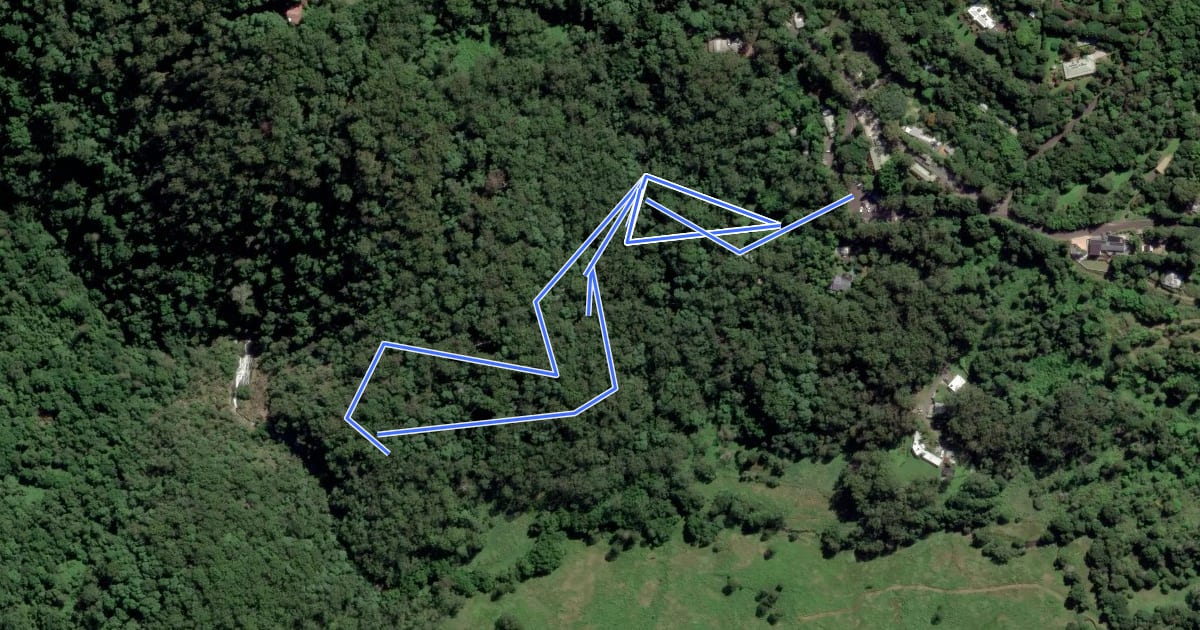 Маршрут Picnic Creek Circuit на спутниковом снимке