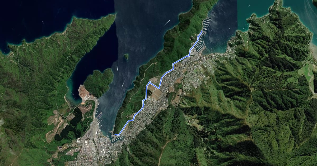Маршрут Picton Marina - Waikawa Marina на спутниковом снимке