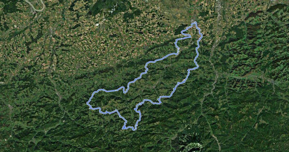 Маршрут Pielachtaler Rundwanderweg на спутниковом снимке