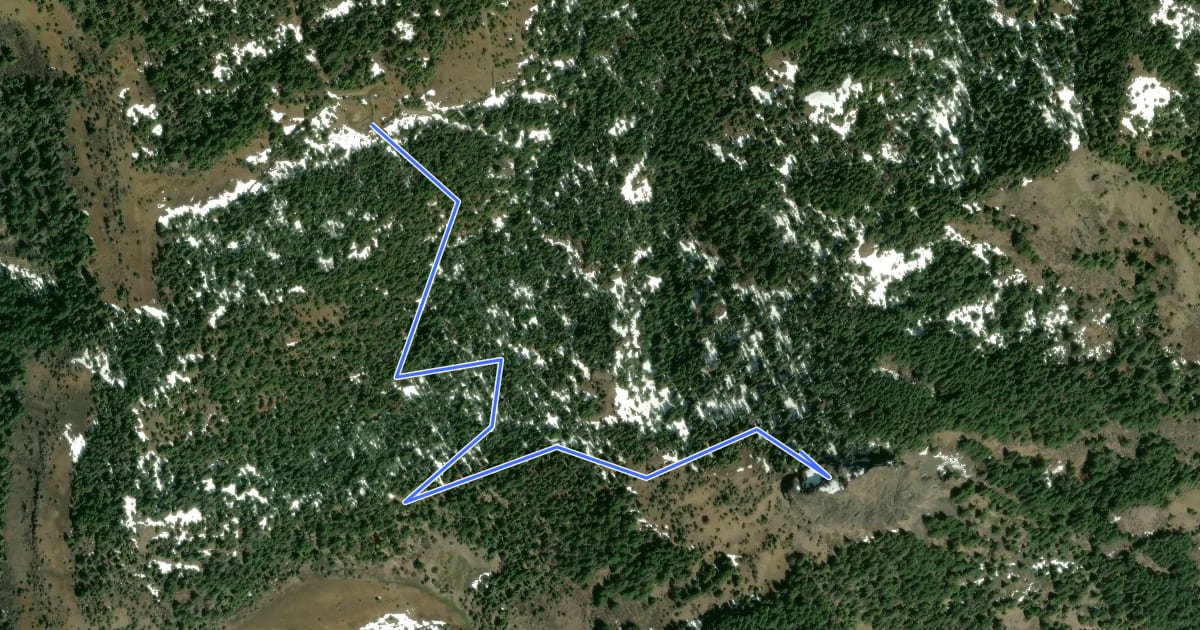Маршрут Pilot Rock Trail на спутниковом снимке