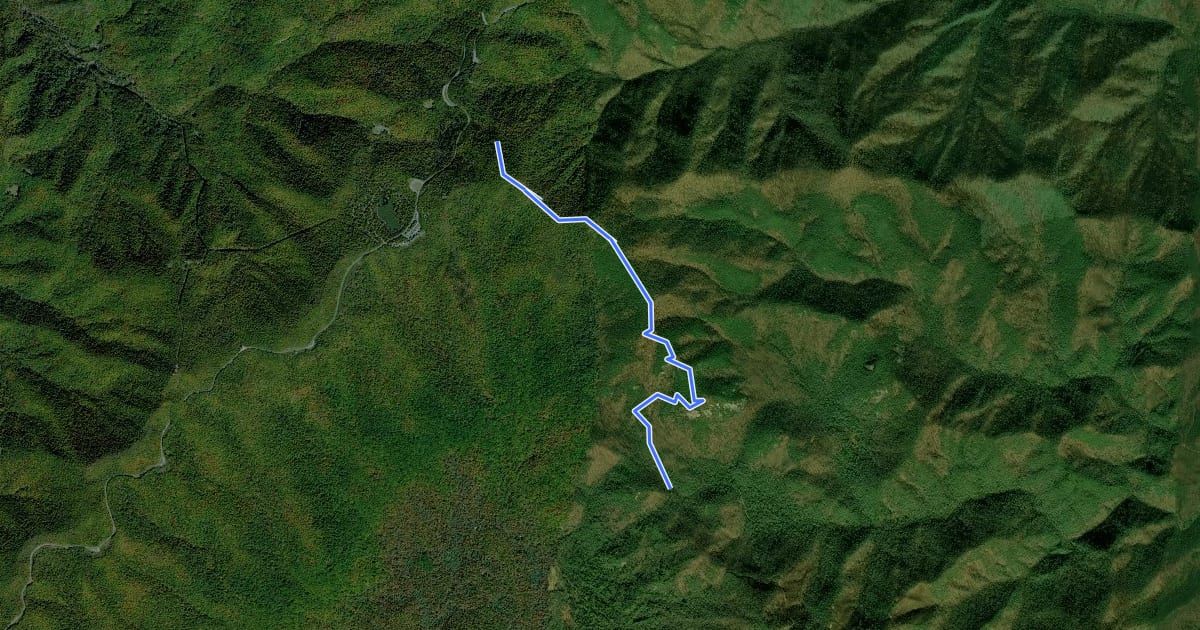 Маршрут Pilot Rock Trail на спутниковом снимке