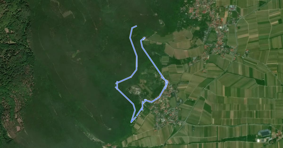 Маршрут Pilzweg Gleisweiler на спутниковом снимке