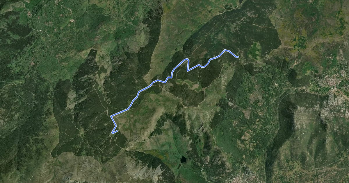 Маршрут Pinares de Canencia на спутниковом снимке