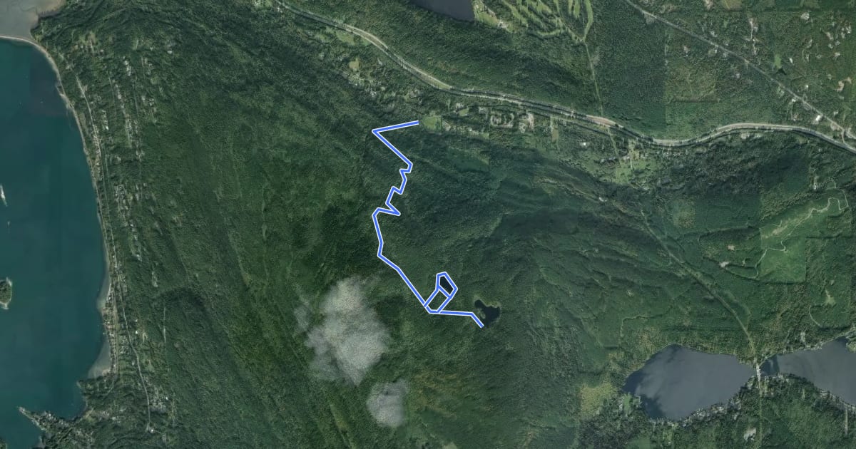 Маршрут Pine and Cedar Lakes на спутниковом снимке