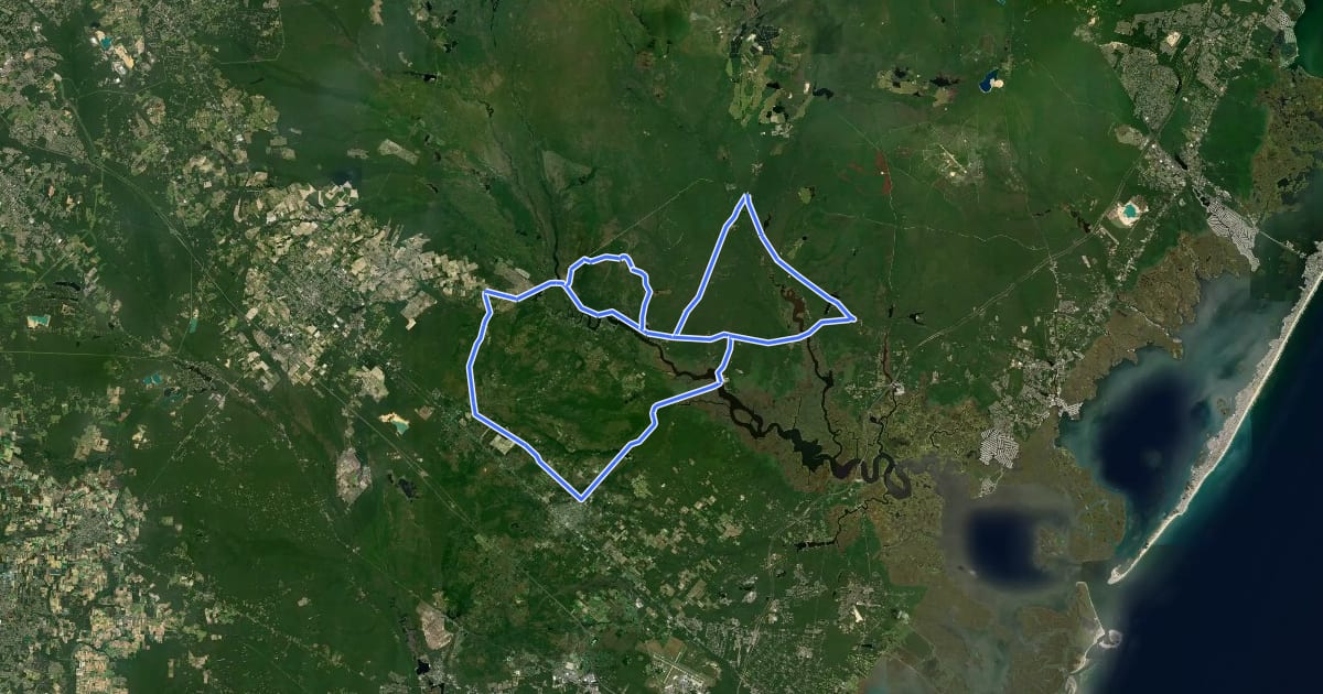 Маршрут Pine Barrens River Ramble на спутниковом снимке