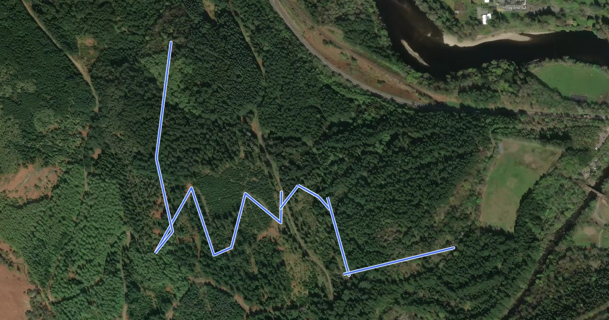 Маршрут Pine Cone Point Path на спутниковом снимке
