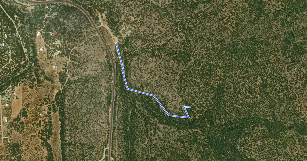 Маршрут Pine Flat Connector Trail на спутниковом снимке