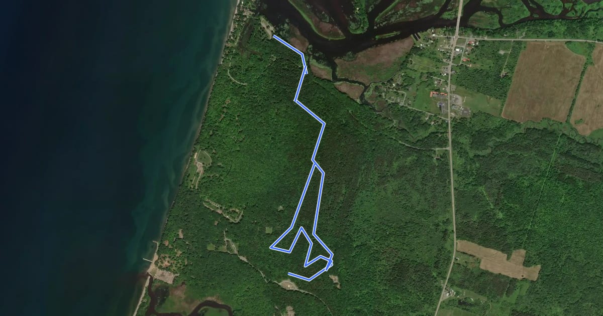 Маршрут Pine Grove Trail на спутниковом снимке
