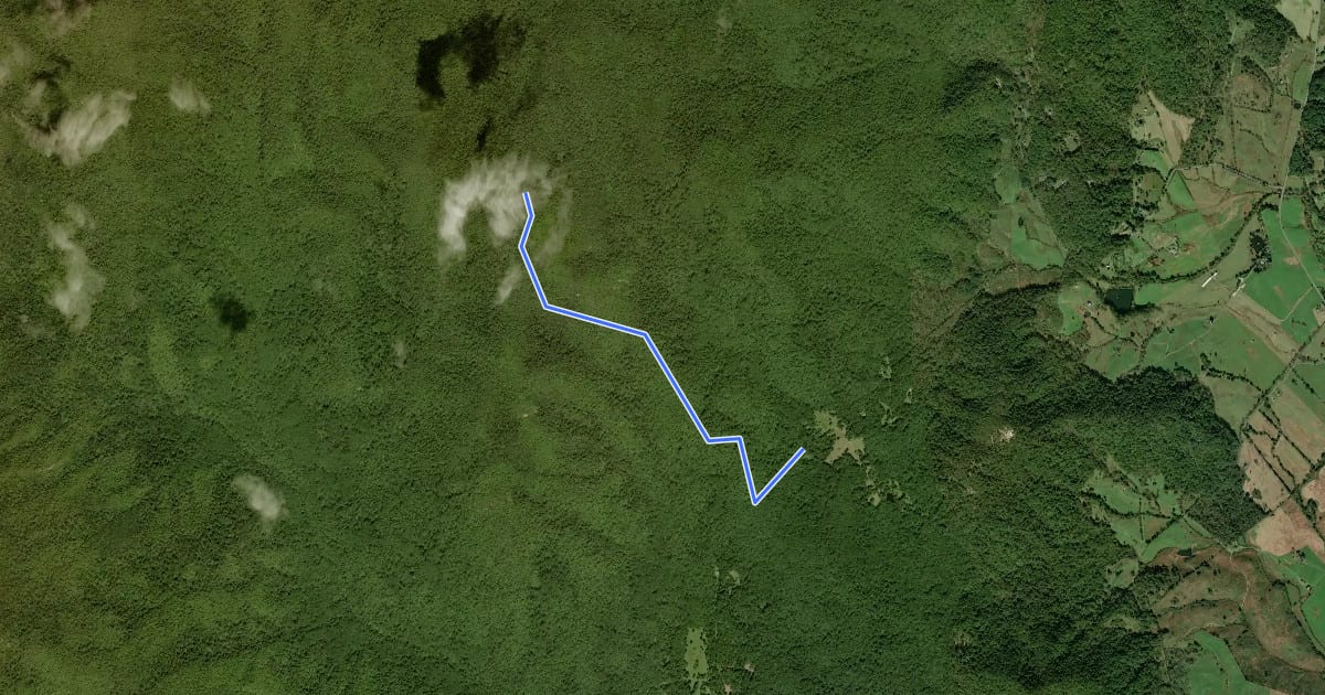 Маршрут Pine Hill Gap Trail на спутниковом снимке