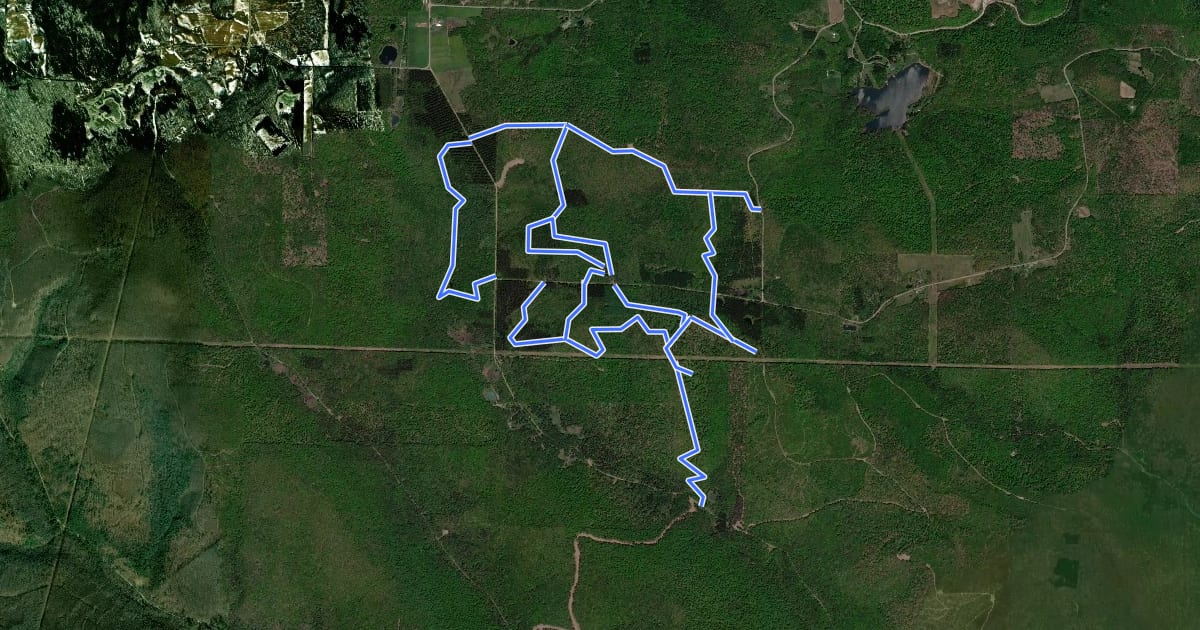Маршрут Pine Hill State Forest на спутниковом снимке