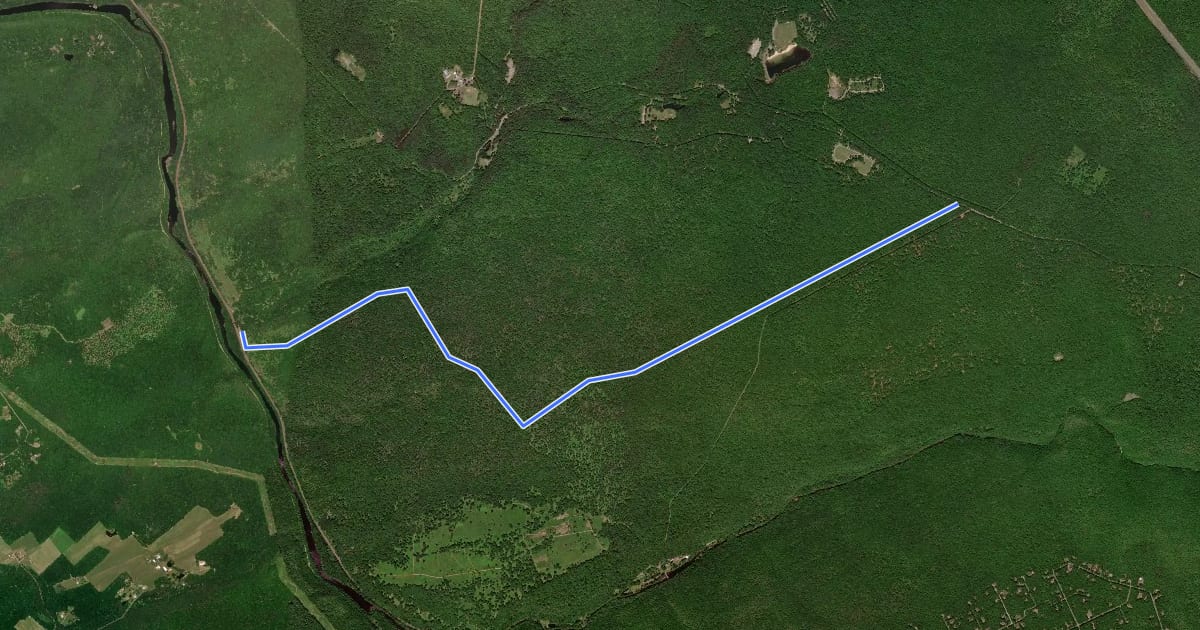 Маршрут Pine Hill Trail на спутниковом снимке