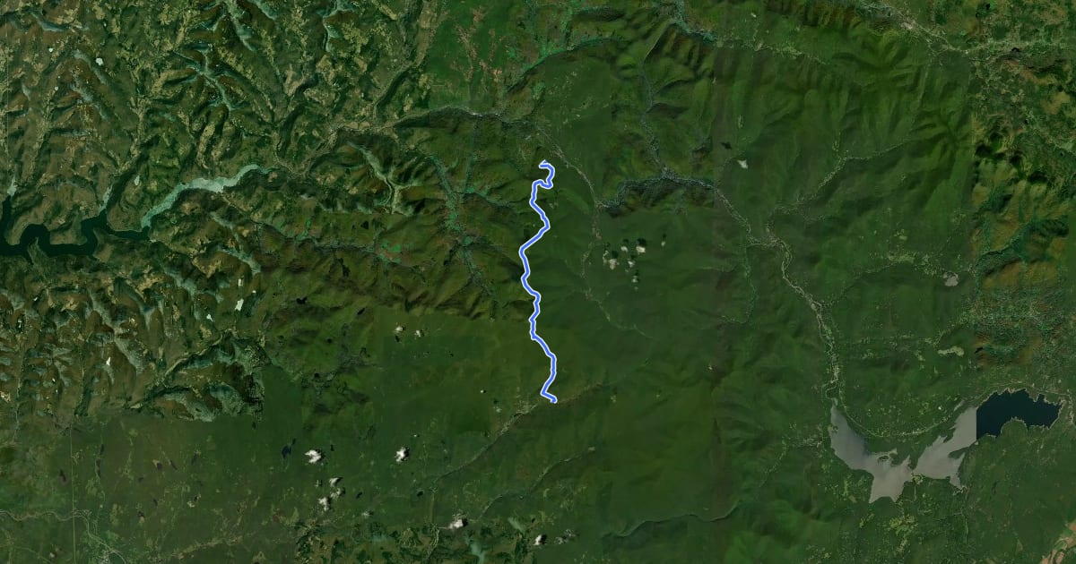 Маршрут Pine Hill - West Branch Trail на спутниковом снимке