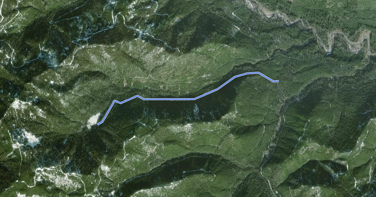 Маршрут Pine Lake Trail на спутниковом снимке