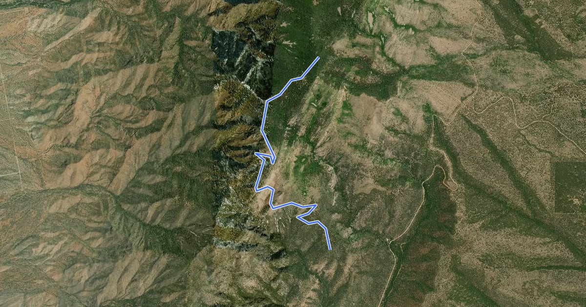Маршрут Pine Shadow Trail на спутниковом снимке