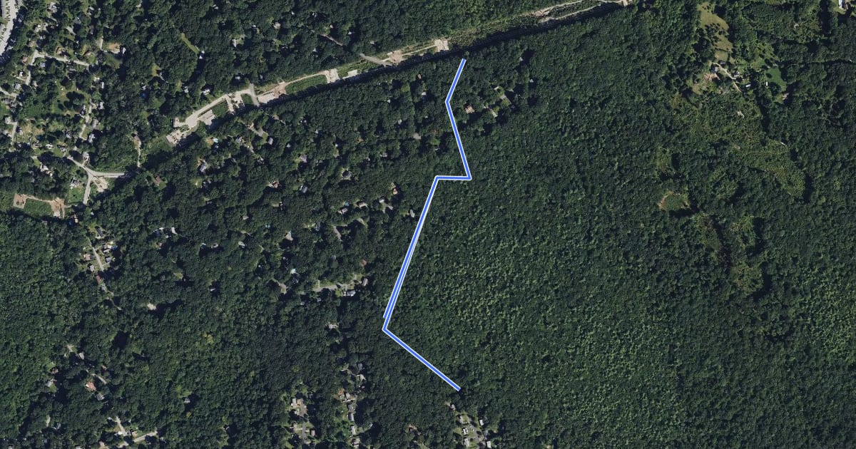 Маршрут Pine Swamp Red Trail на спутниковом снимке