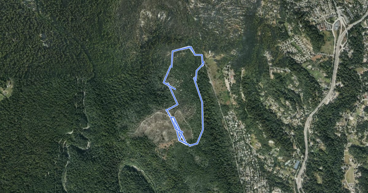 Маршрут Pine Trail на спутниковом снимке