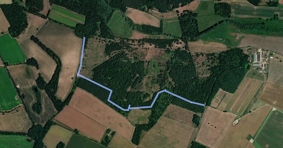Маршрут Pine Trail на спутниковом снимке