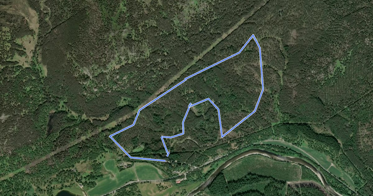 Маршрут Pine Tree Trail на спутниковом снимке