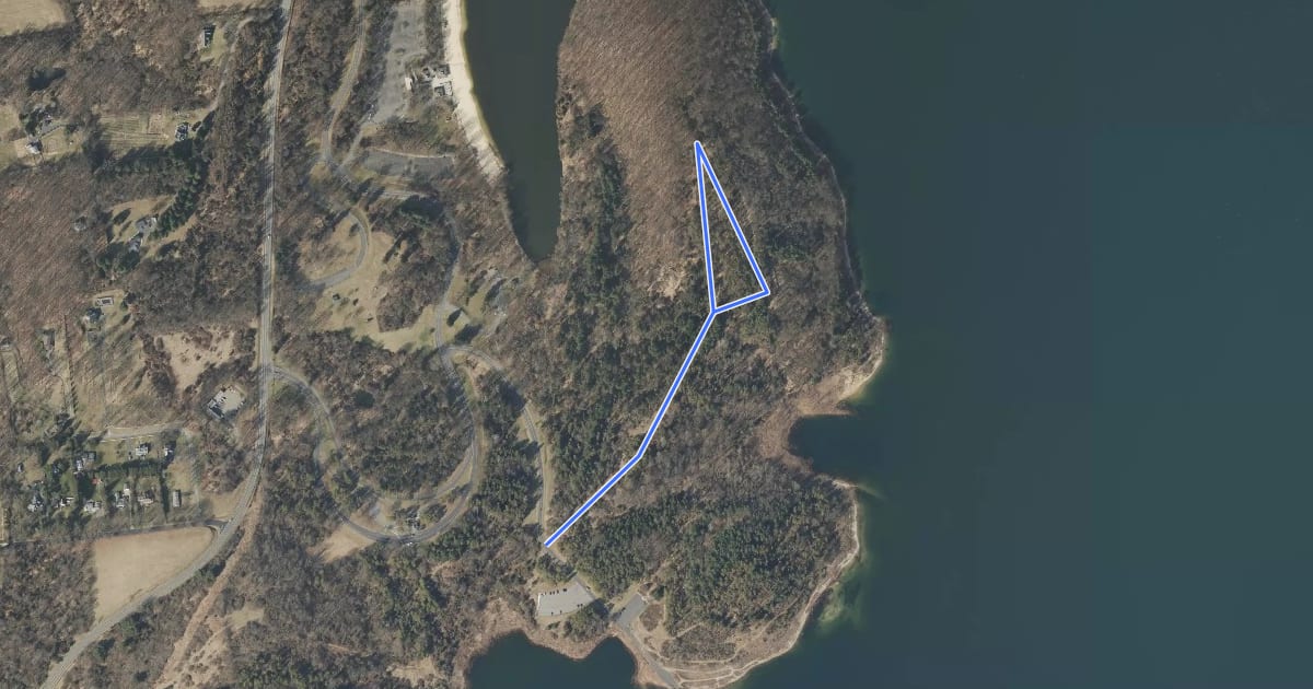 Маршрут Pine Tree Trail на спутниковом снимке