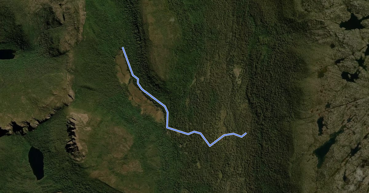 Маршрут Pine Valley Track на спутниковом снимке
