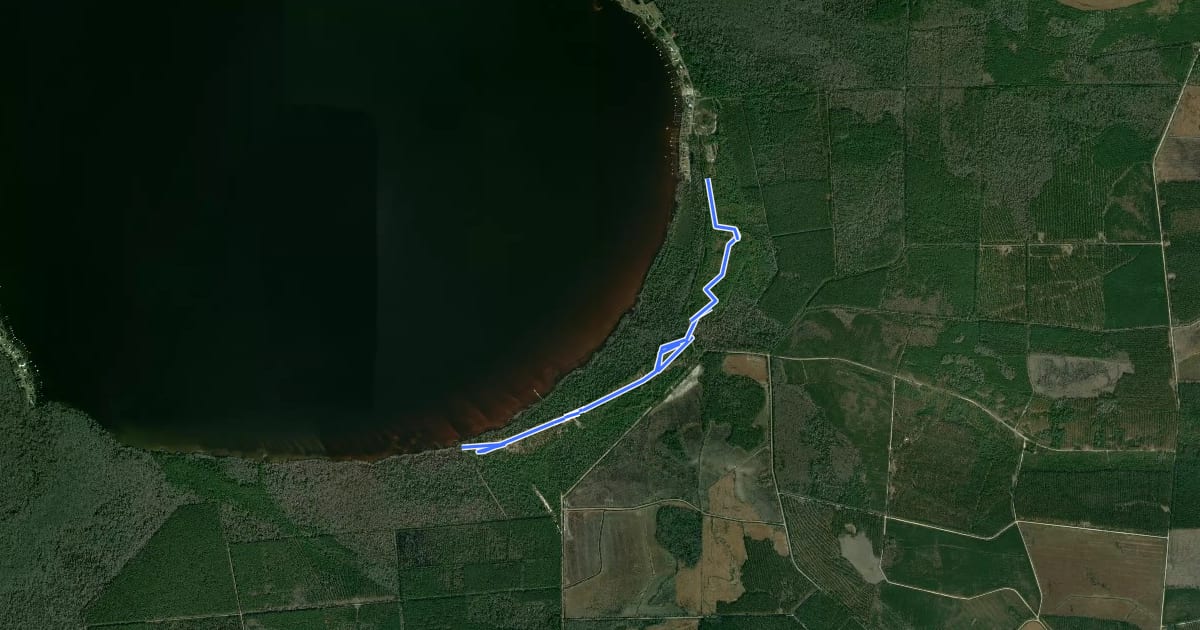 Маршрут Pine Woods Trail на спутниковом снимке