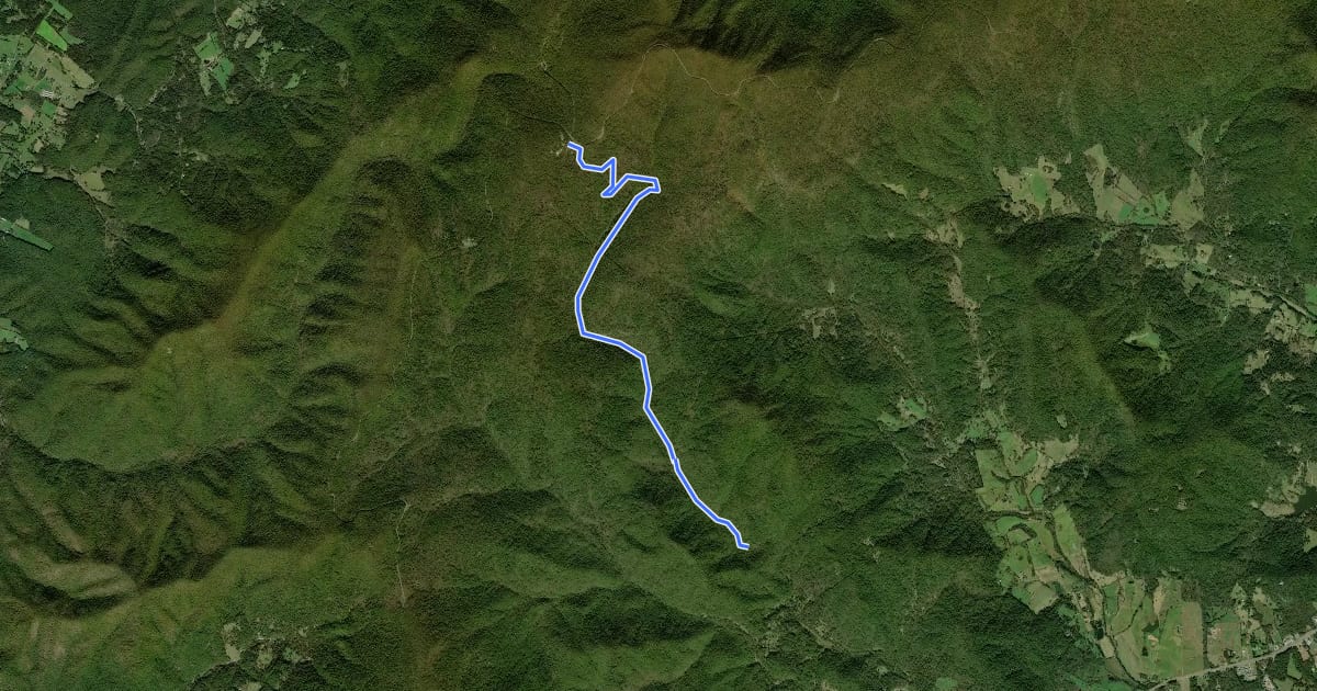 Маршрут Piney Branch Trail на спутниковом снимке