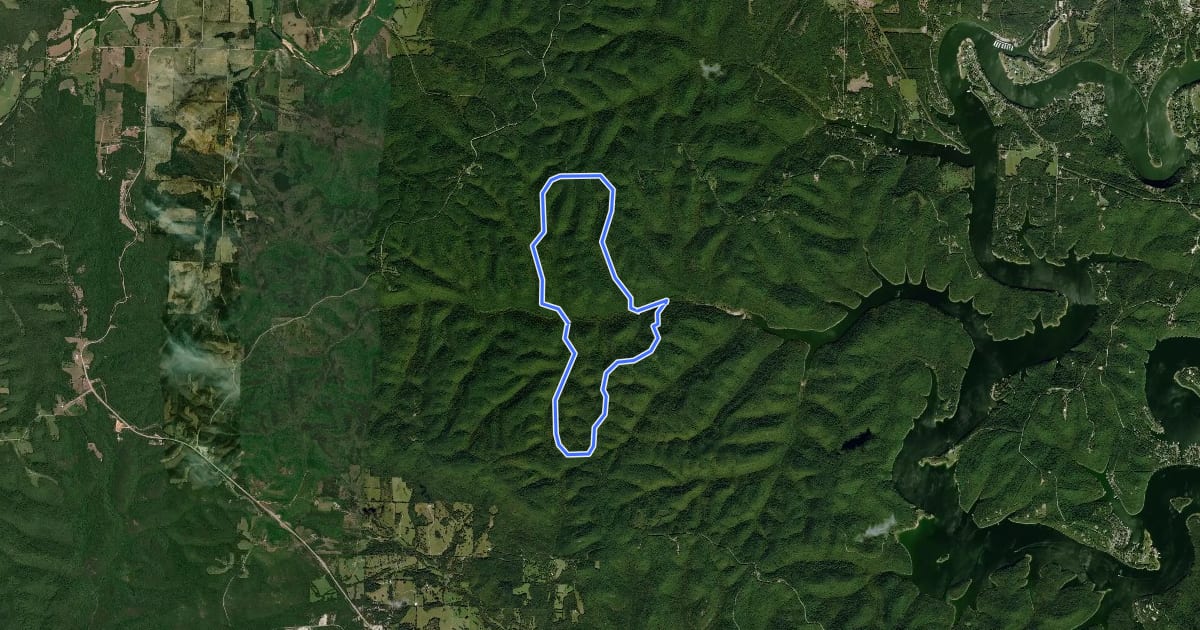Маршрут Piney Creek Wilderness Area Loop на спутниковом снимке