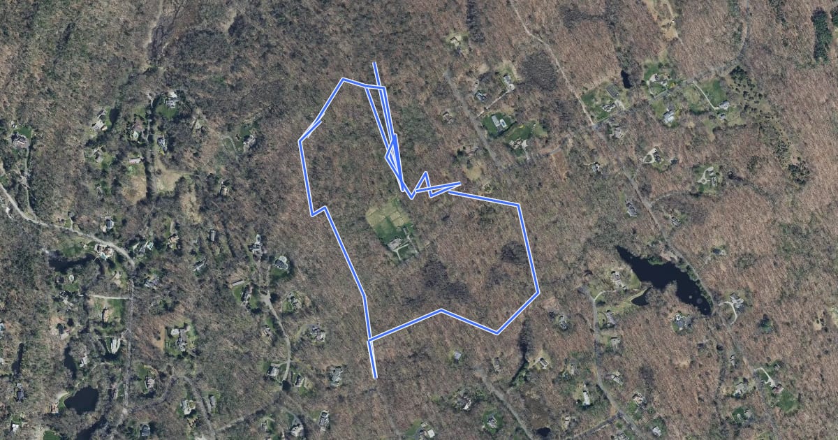 Маршрут Pink Trail (Off Leash Loop) на спутниковом снимке