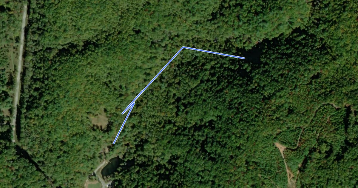 Маршрут Pinnacle Falls Trail на спутниковом снимке